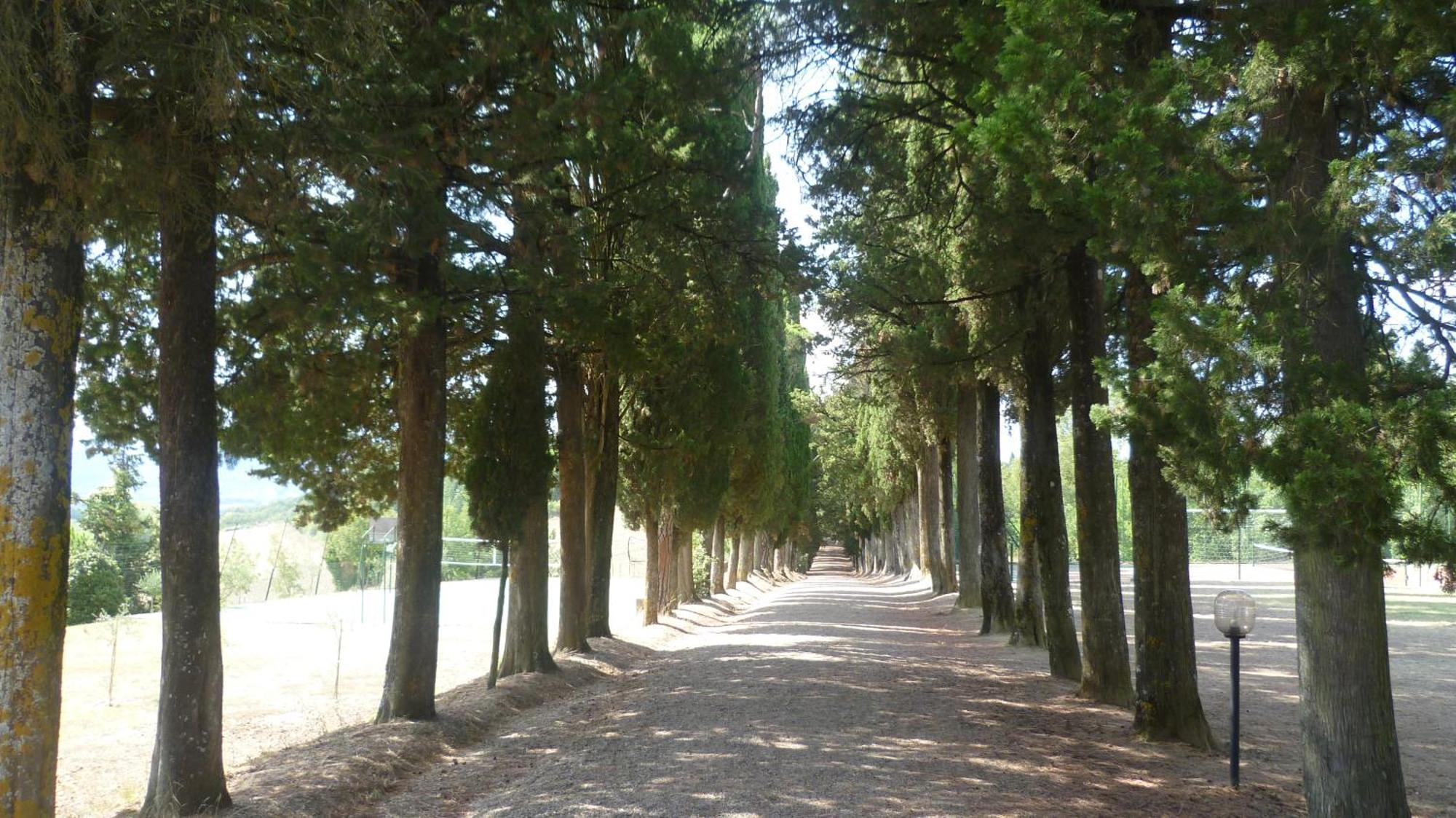 Città di Castello Hotel Villa San Donino מראה חיצוני תמונה