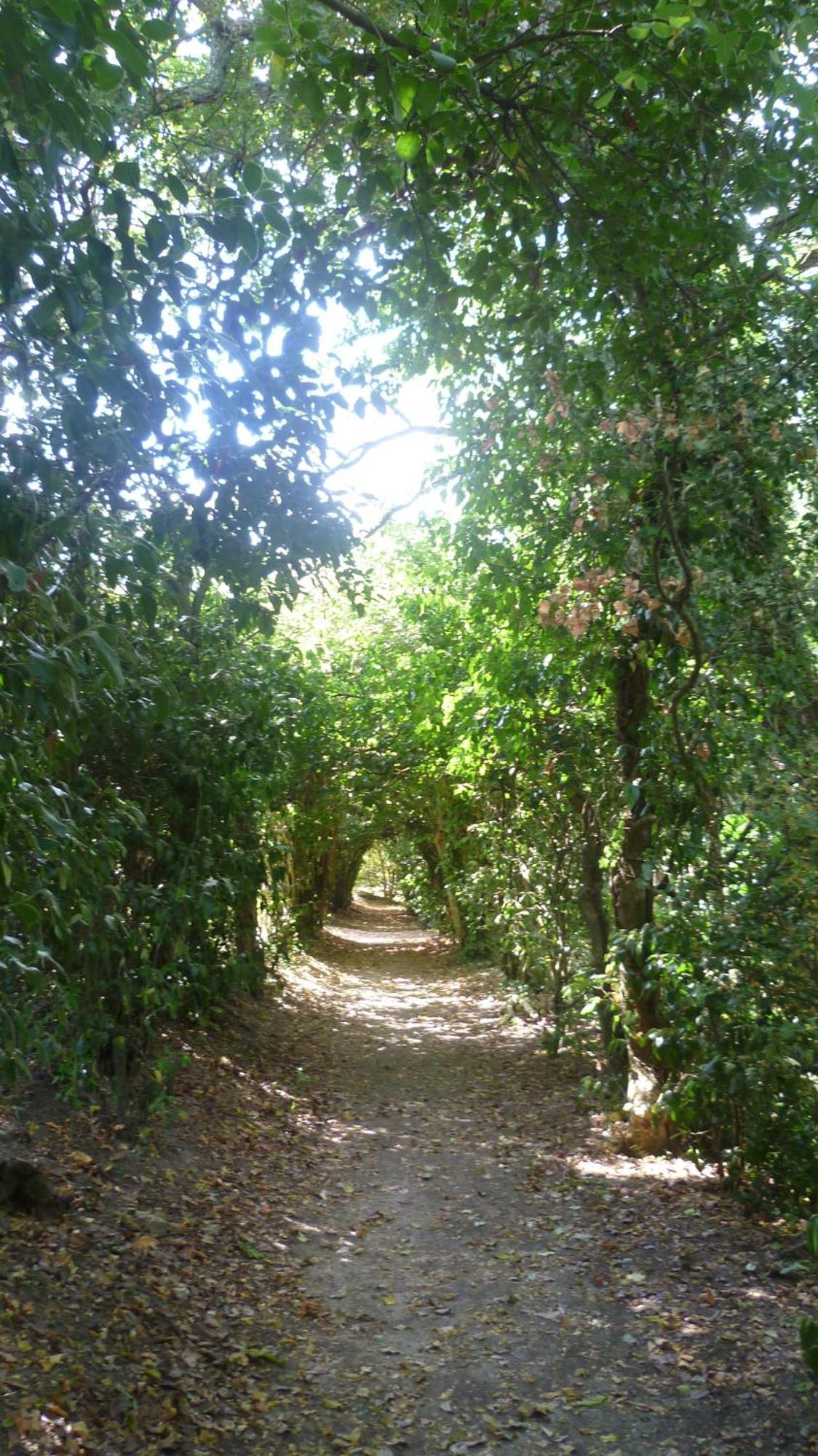 Città di Castello Hotel Villa San Donino מראה חיצוני תמונה